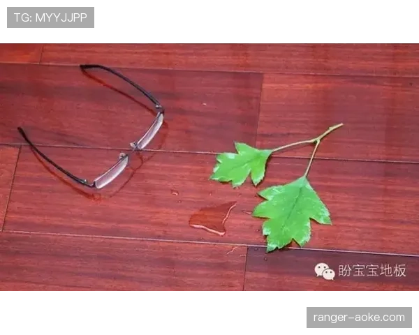 踩踏犯规判罚到底有多严格？这些细节你必须懂